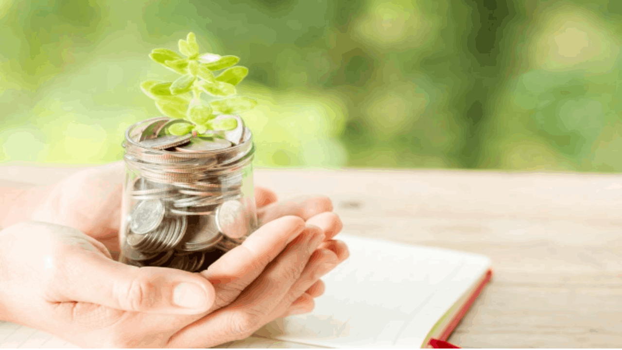 Ada 7 Jenis Investasi Untuk Pemula Wajib Kamu Ketahui Jenis Investasi Untuk Pemula